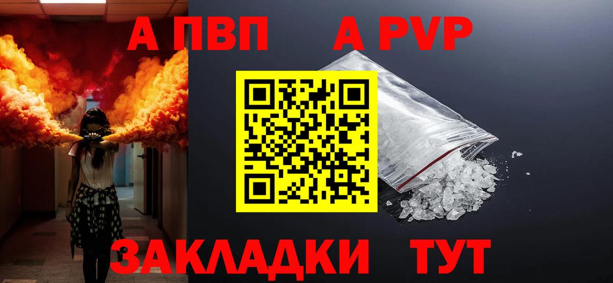 A PVP СК КРИС Нововоронеж