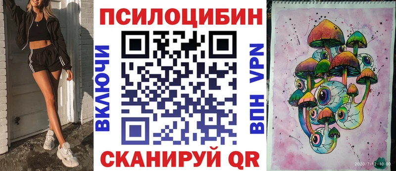 дарнет шоп Нововоронеж Псилоцибиновые грибы мухоморы