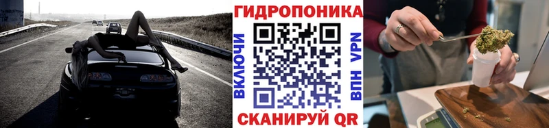 МАРИХУАНА семена Нововоронеж